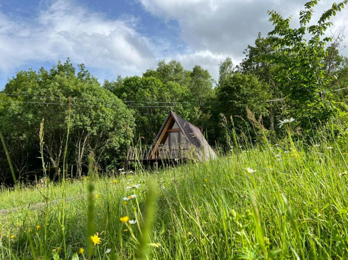فيلا Glamping Wolf Mount Margahovit الغرفة الصورة
